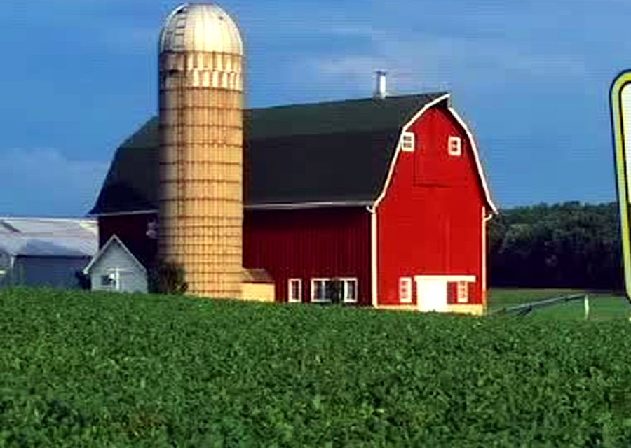 A red barn and silo on an Illinois farm
