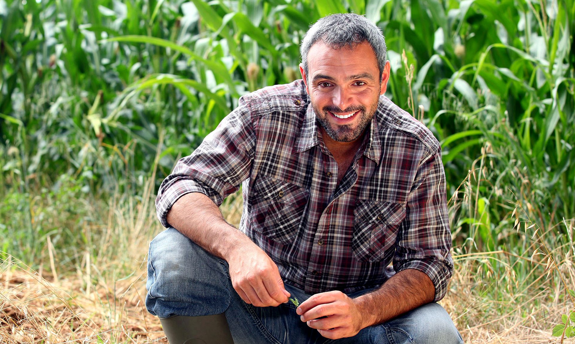An Illinois farmer in his cornfield