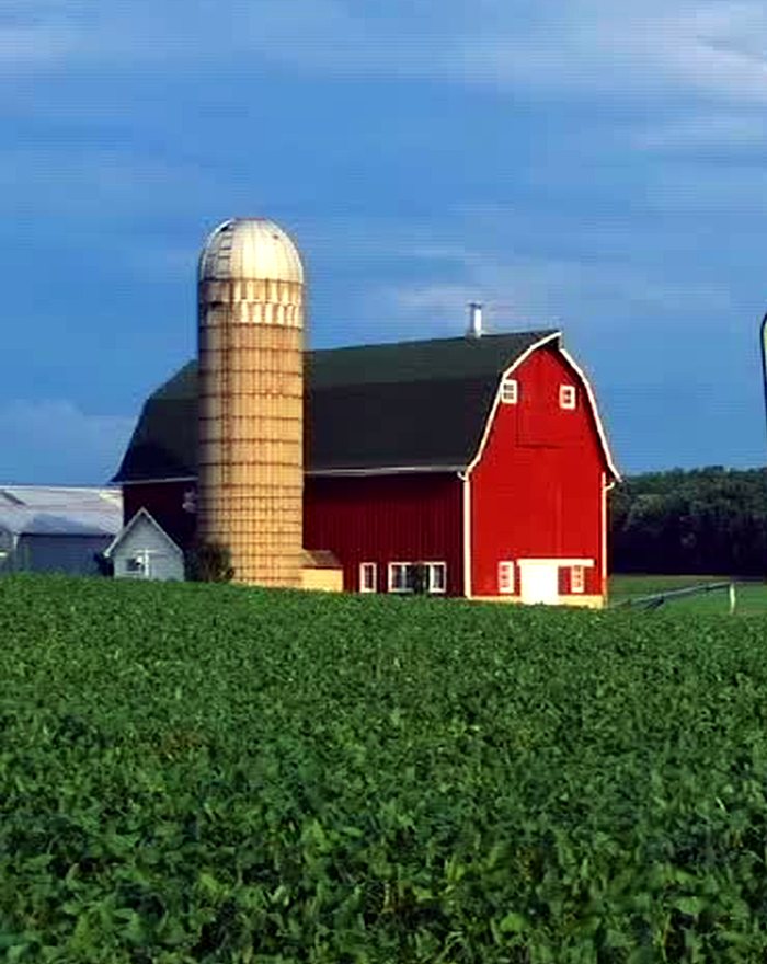 A red barn and silo above a green field