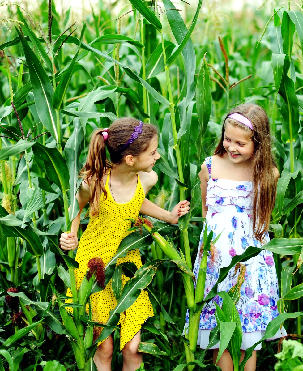 Two girls playing in an Illinois cornfield